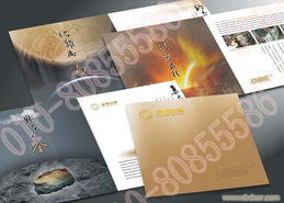 专业平面设计公司 画册设计与海报设计的艺术与商业解决方案